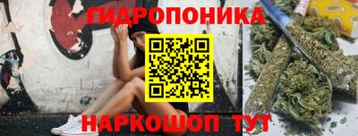 эйфоретик Будённовск