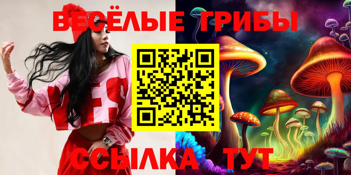 Рассказово  Галлюциногенные грибы Psilocybine cubensis  Вход с VPN 